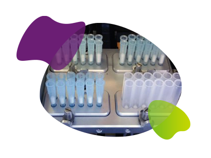 CPG synthesis columns arranged in an oligonucleotide synthesizer